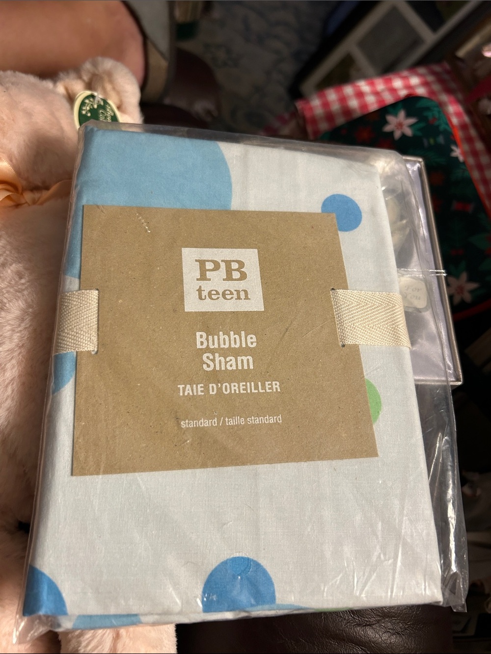Pottery Barn Teen Bubble Sham in Blue and Green Dots